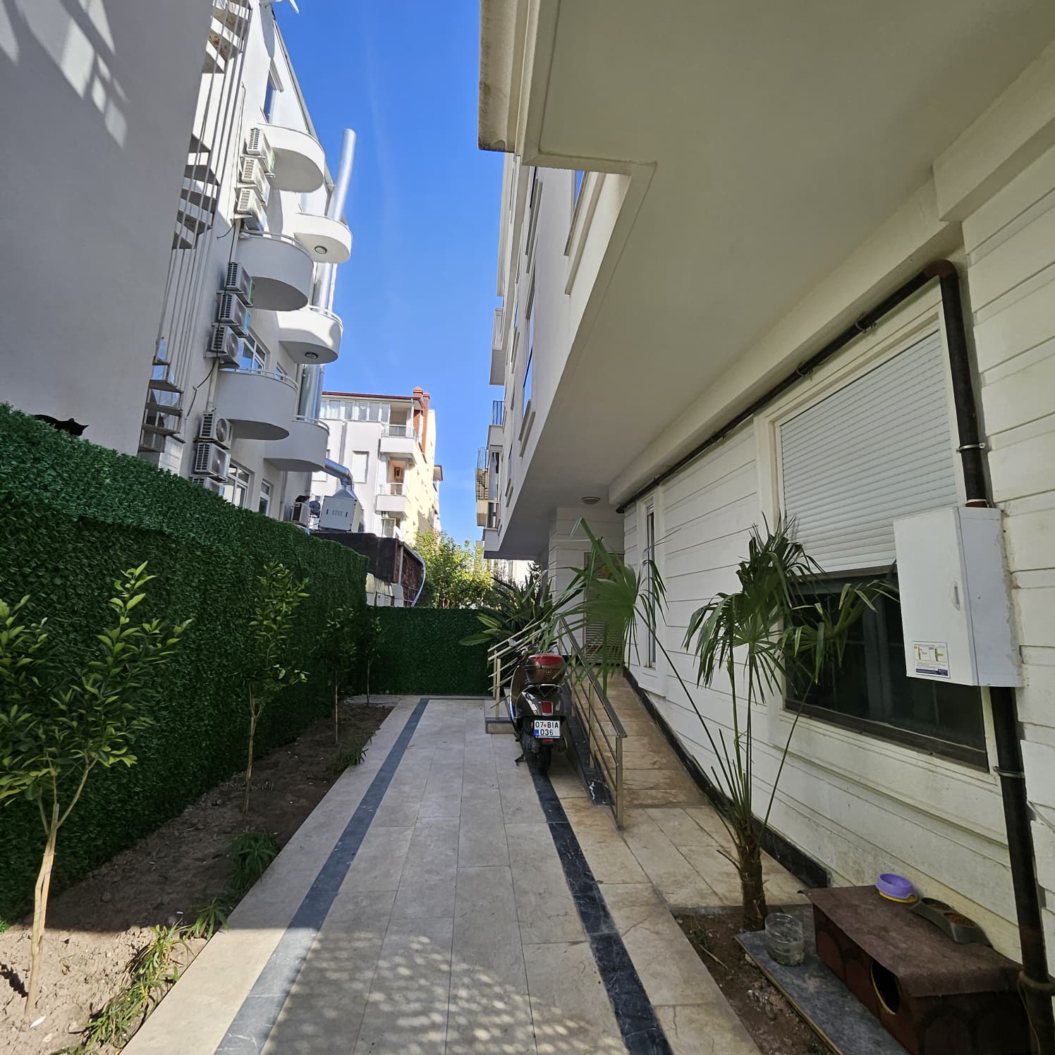 WhatsApp Image 2026-01-16 at 15.44.40