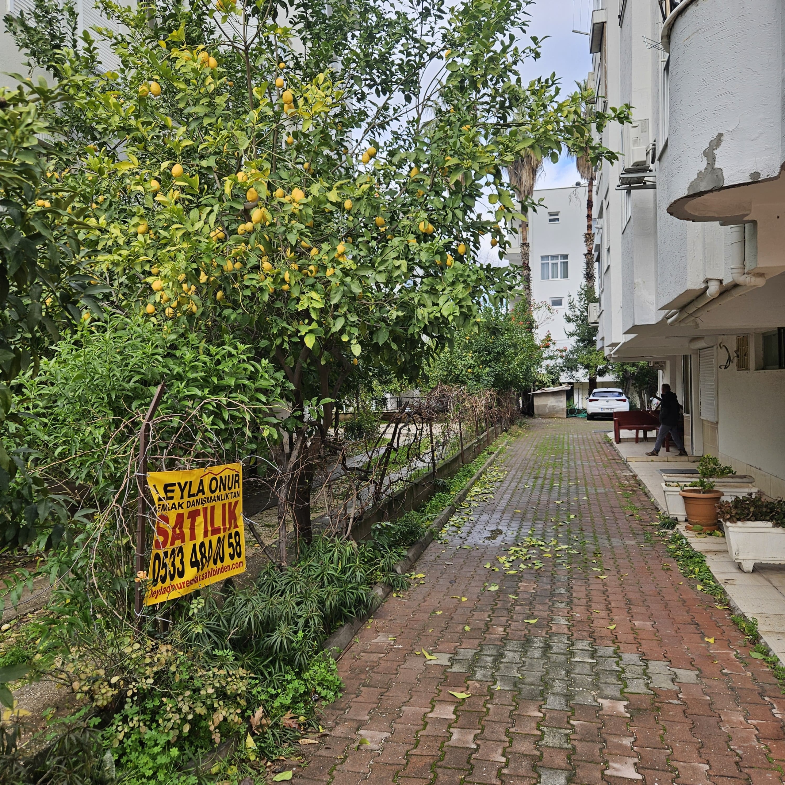 WhatsApp Image 2026-01-29 at 17.12.07 (6)